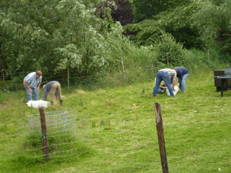 Lith 2008 (10)